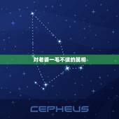 对老婆一毛不拔的属相，感谢我的老公，在任何一个节日里，都是一毛不拔 是