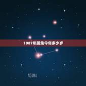 1987年属兔今年多少岁，87年属兔人2022 年每月运势