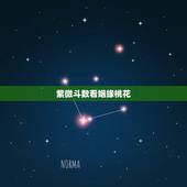 紫微斗数看姻缘桃花，请问紫微斗数怎么看戀愛婚姻