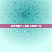 属猪的和什么属相最配最合适，属猪的和哪些属相相配