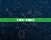 丁丑今日生肖运势，生肖龙今日运势查询