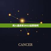 鸡人遇虎年2022运势如何，虎年鸡运程