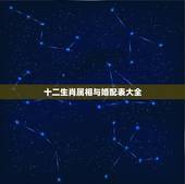 十二生肖属相与婚配表大全，属相婚配十二生肖年龄表