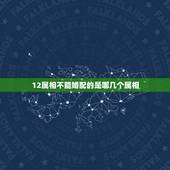 12属相不能婚配的是哪几个属相，十二生肖鼠与什么生肖不宜婚配