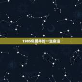 1985年属牛的一生命运，1985年属牛命里缺什么