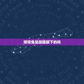 呗呗兔是薇娅旗下的吗，薇娅什么学历