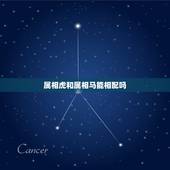 属相虎和属相马能相配吗，属虎跟属马的婚姻相配吗