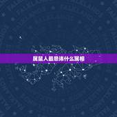 属鼠人最忌讳什么属相，猪忌什么生肖