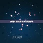 女属木的和属什么的婚配好，女木命属狗和男火命属鼠婚配怎么样