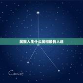 属猴人生什么属相最有人迷，属猴为什么会突然对人生感到迷茫