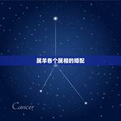 属羊各个属相的婚配，属羊的和什么属相相配
