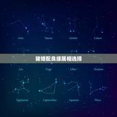猪婚配良缘属相选择，属相也有姻缘说么，属猪和什么属相最配？
