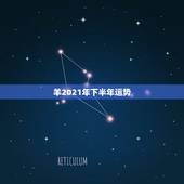 羊2021年下半年运势，属羊女2021年全年运势
