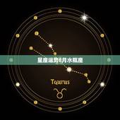 星座运势8月水瓶座，八月最容易发财的星座是水瓶座的你吗？