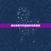 适合放客厅的植物和花有哪些，客厅能放什么植物和花