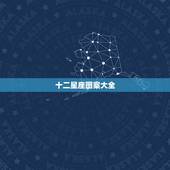 十二星座图案大全，十二星座星象图锁屏图案软件大全下载