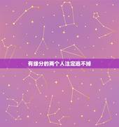 有缘分的两个人注定逃不掉，两个人的缘分是命中注定的吗