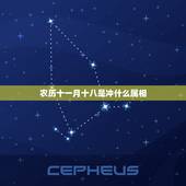 农历十一月十八是冲什么属相，1980年农历十一月十八十二生肖中属什么