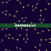 属兔招财微信名1987，微信头像用什么最好最吉利2021