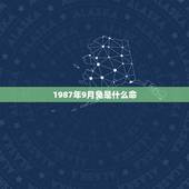 1987年9月兔是什么命，1987年九月出生是什么命