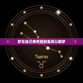 梦见自己用手抓到鱼周公解梦，睡觉梦见用手是什么意思