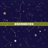 属狗的婚姻配对更佳，属狗男最后娶了谁