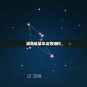 属兔逢鼠年运势如何，属兔五行缺什么