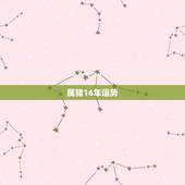属猪16年运势，2016年属猪的人运势
