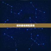 鼠的最佳婚配属相，属鼠的属相婚配表 属鼠的和什么属相最配？