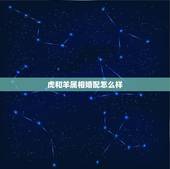 虎和羊属相婚配怎么样，属相婚配：男属羊和女属虎相配吗？