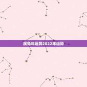 属兔年运势2022年运势，2022是兔年