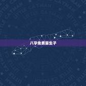 八字免费算生子，免费算命生子？