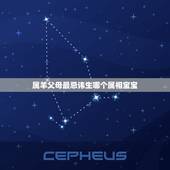 属羊父母最忌讳生哪个属相宝宝，牛宝宝忌什么属相父母