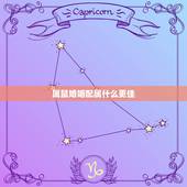属鼠婚姻配属什么更佳，属鼠2022 年运势及运程