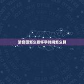 清宫图怎么看怀孕时间怎么算，清宫图2021年生男生女表怎么算