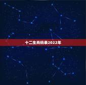 十二生肖码表2022年，2022 年十二生肖号码表图