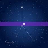 十二生肖婚姻搭配(如何选择最合适的伴侣)