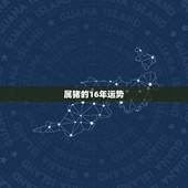 属猪的16年运势，五行里面属猪的运势