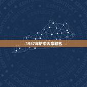 1987年炉中火命取名，1987年属兔公司起名