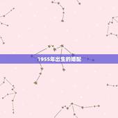 1955年出生的婚配，女1979年阳历7月24生日和什么属相那个月婚配