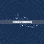 长期固炮之间有感情吗，一个男人平时不主动联系你但见到你就想带你去开房什
