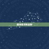 属羊在马年运势，1979年属羊的人2014年运程怎么样？属羊人马年需要