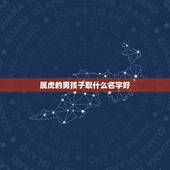 属虎的男孩子取什么名字好，姓胡的男孩子属虎取名什么名字好