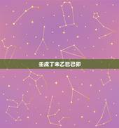 壬戌丁未乙巳己卯，壬戌丁未庚戌己卯