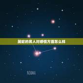 属蛇的男人对感情方面怎么样，属蛇的男人太可怕了
