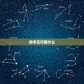 柏字五行属什么，姓陈名叫艺柏这个名字的分数