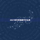 2021年牛年是属于什么命，2021年属牛是什么命
