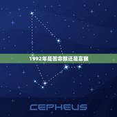 1992年是苦命猴还是富猴，1992年属猴是什么命