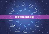 属猪的2022年运势，2021属猪人全年运势