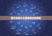 属牛的和什么属相相合有哪些，属牛和什么属相相冲